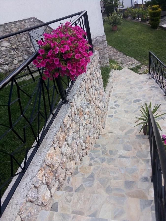 Guest House Stevovski Elshani Zewnętrze zdjęcie
