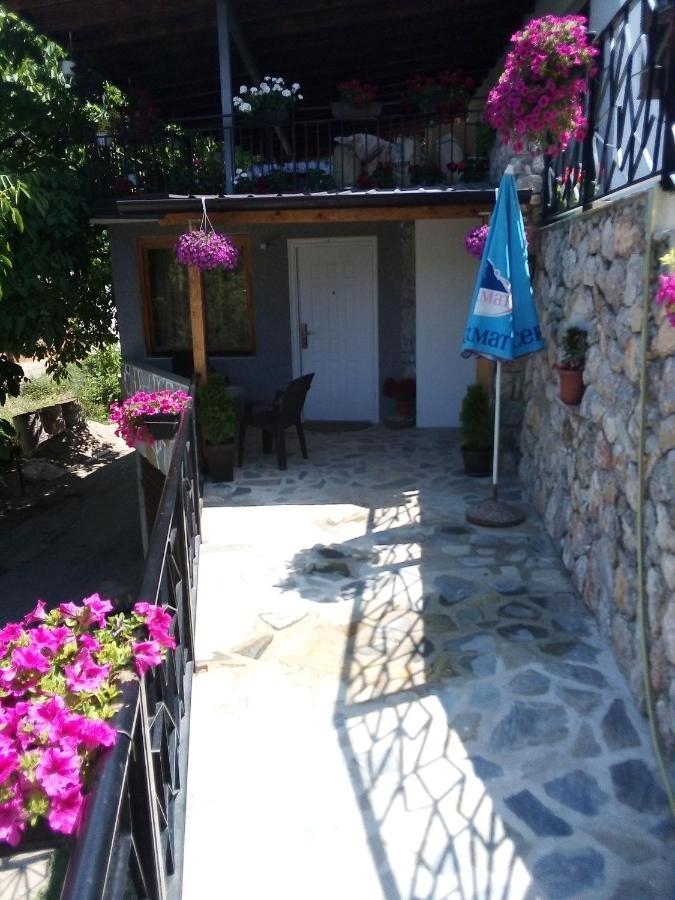 Guest House Stevovski Elshani Zewnętrze zdjęcie