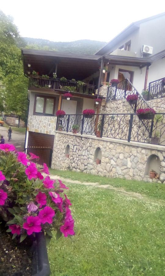Guest House Stevovski Elshani Zewnętrze zdjęcie