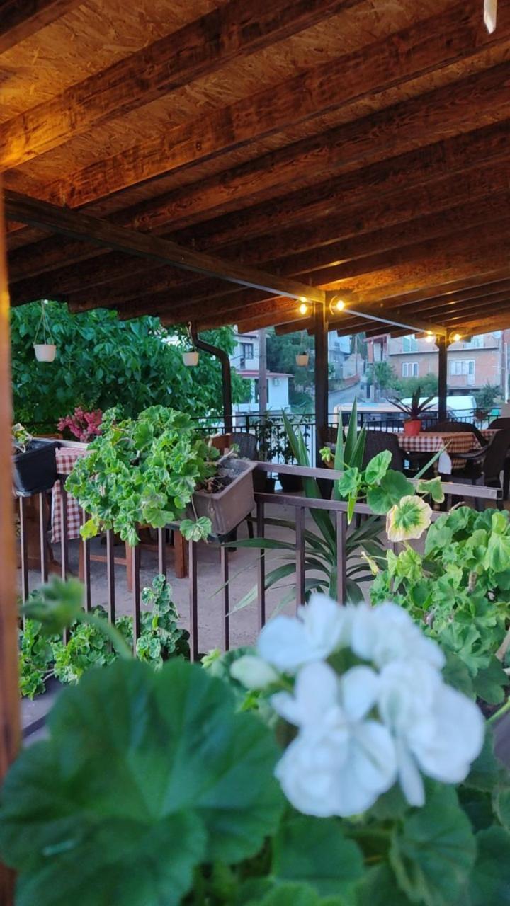 Guest House Stevovski Elshani Zewnętrze zdjęcie
