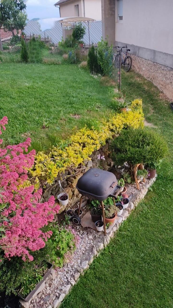 Guest House Stevovski Elshani Zewnętrze zdjęcie